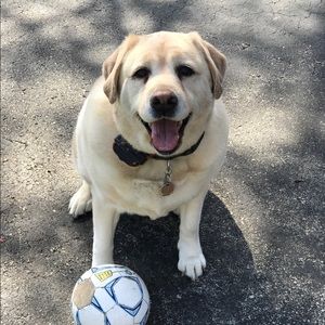 Meet your Posher, Brian